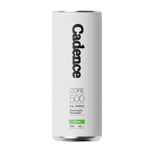 Core 500 Electrolyte RTD