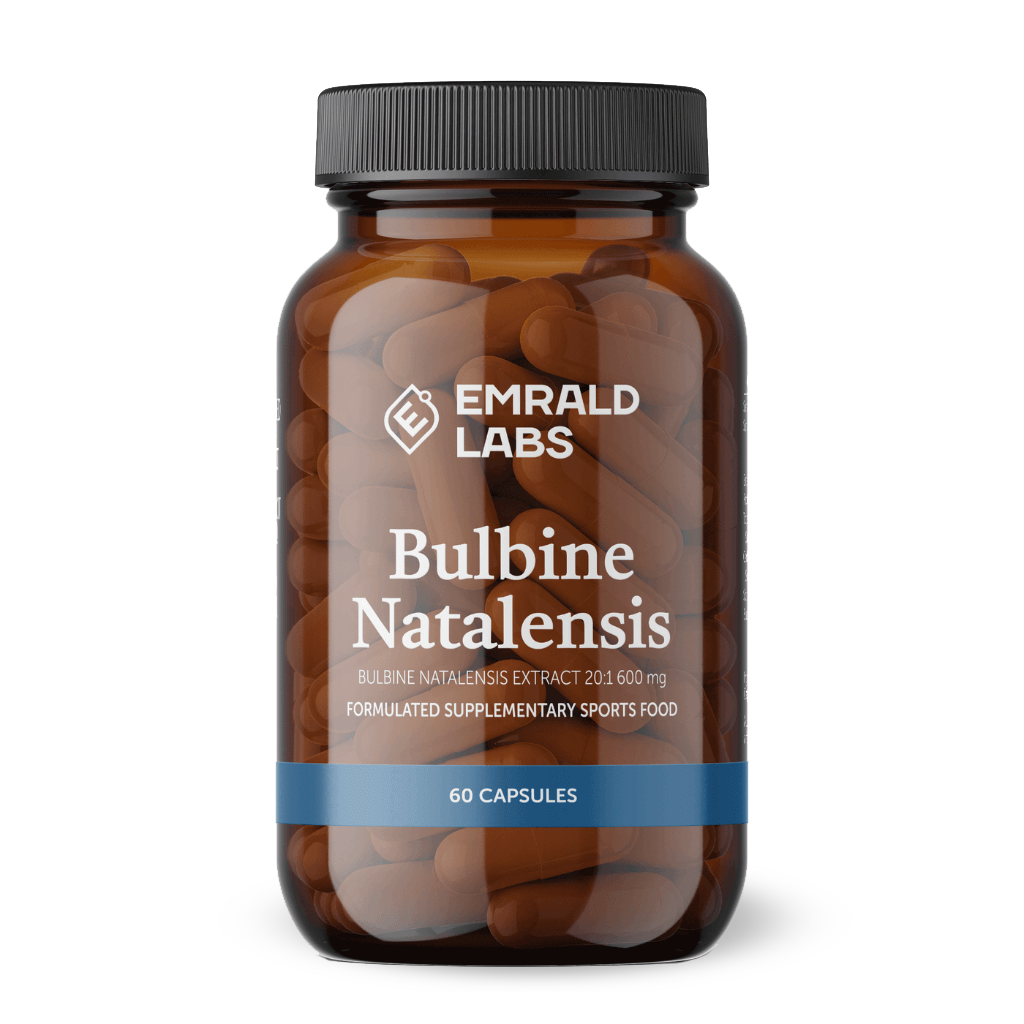 Bulbine Natalensis