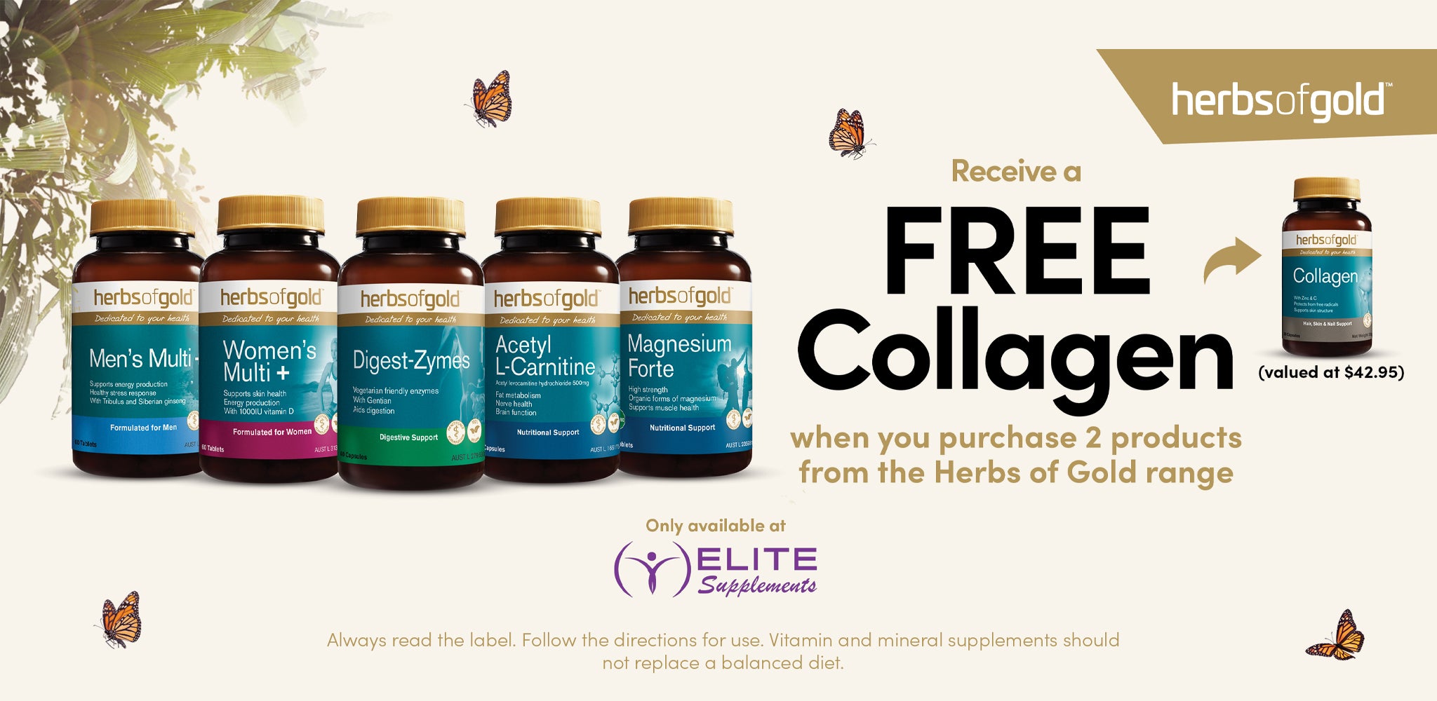 Collagen supplement powder with berries