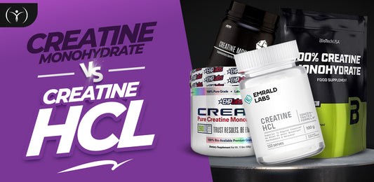 Creatine HCL vs creatine monohydrate | Which is best for you?