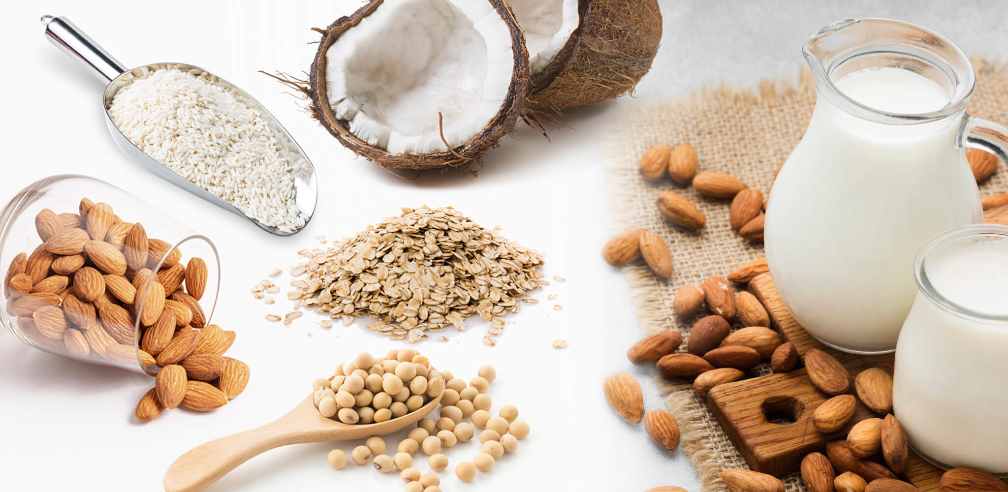 Dairy Free Milks - The Alternatives