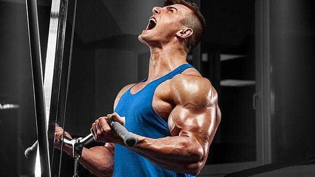 5 Proven Testosterone Boosters & 5 Promising New Ones