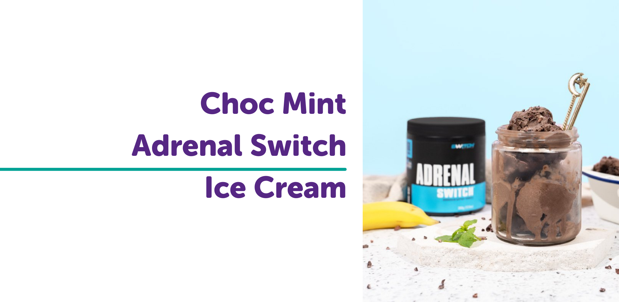 Choc Mint Adrenal Ice Cream
