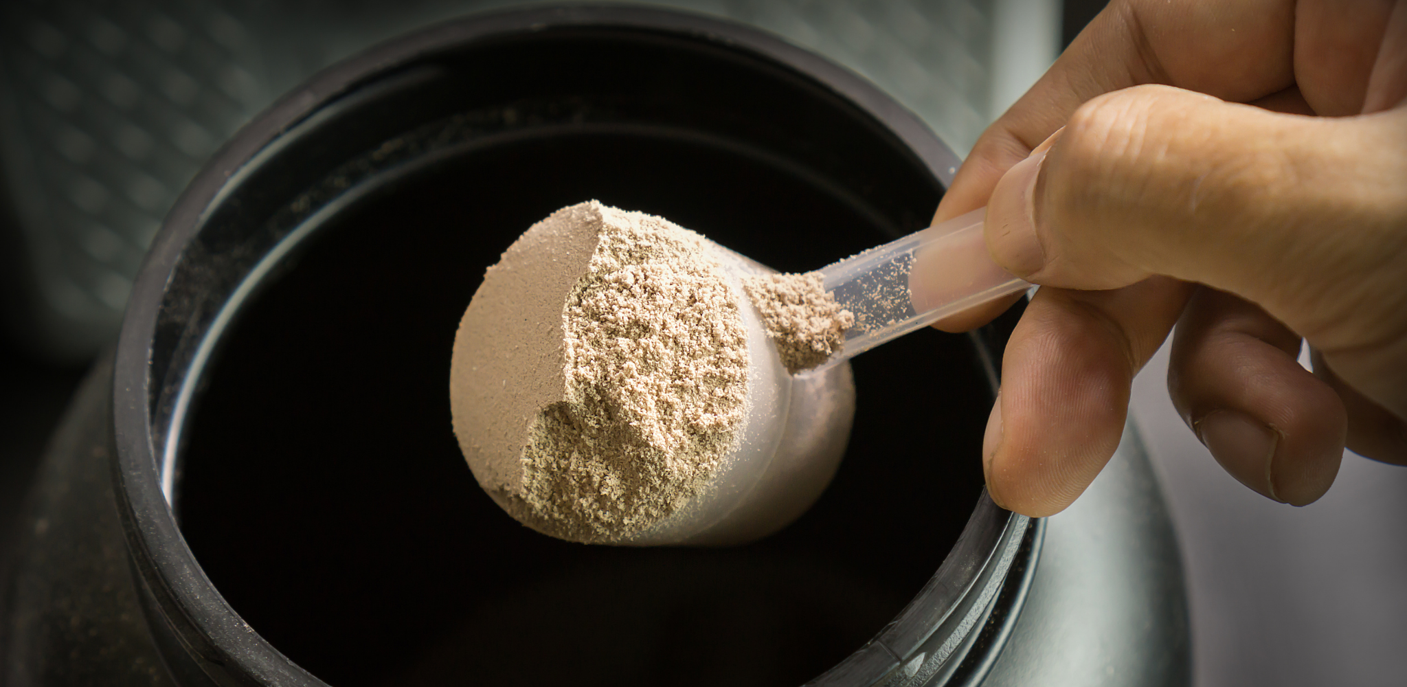 How much does protein powder help build muscle?
