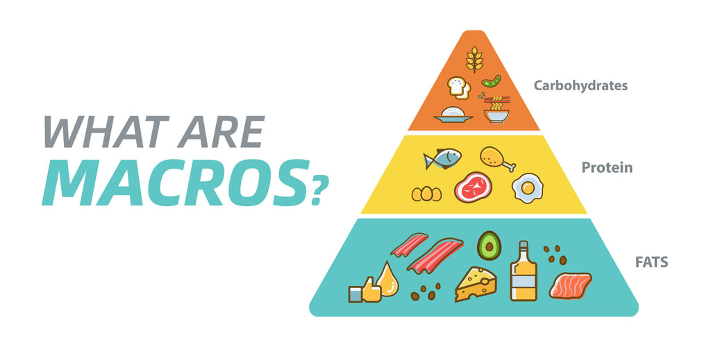 What Are Macros & How To Count Them? | Elite Supps