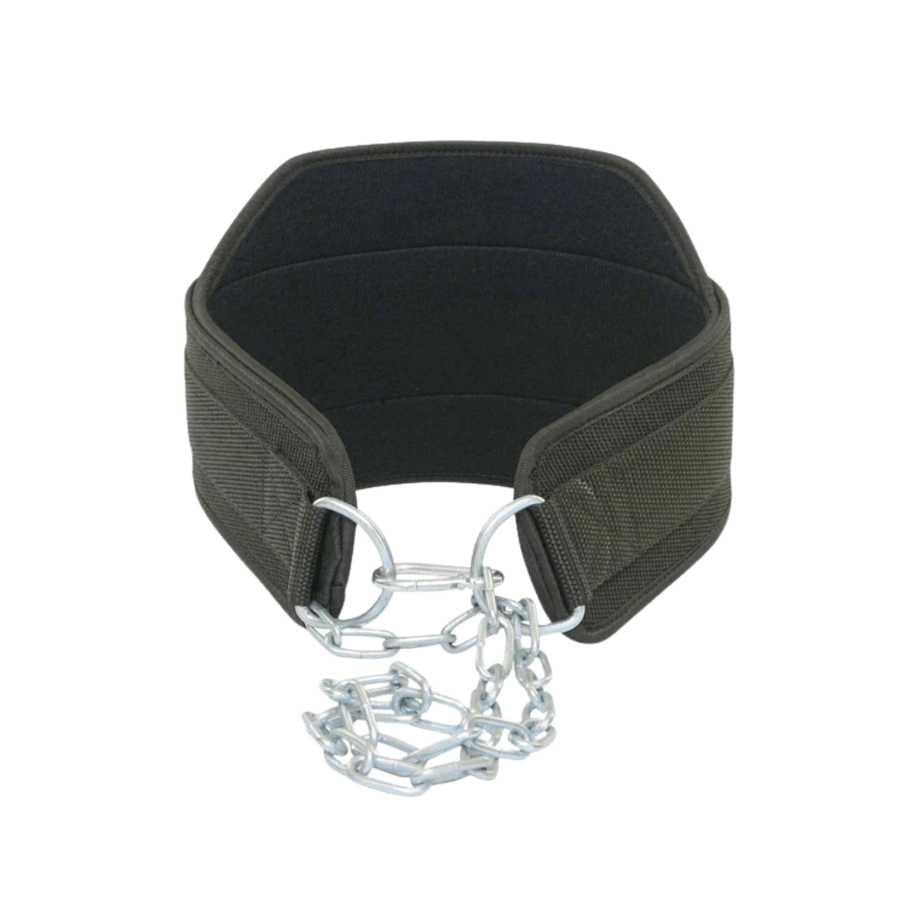 Dip Belt (2)
