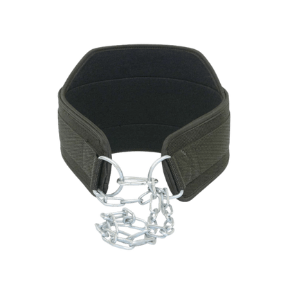 Dip Belt (2)